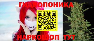 гашик Кимры