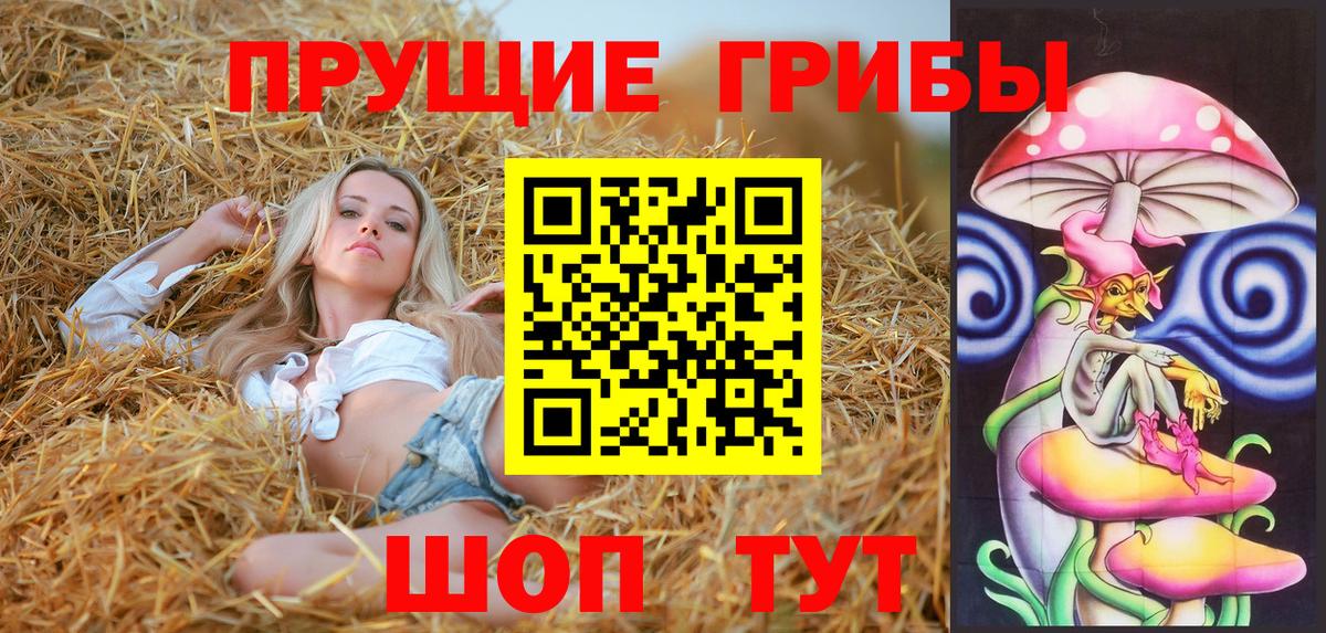 Псилоцибиновые грибы ЛСД Кудымкар
