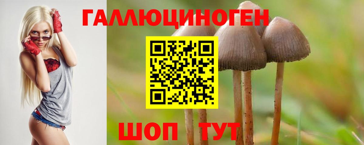 Кудымкар  Галлюциногенные грибы мухоморы  Вход с VPN 