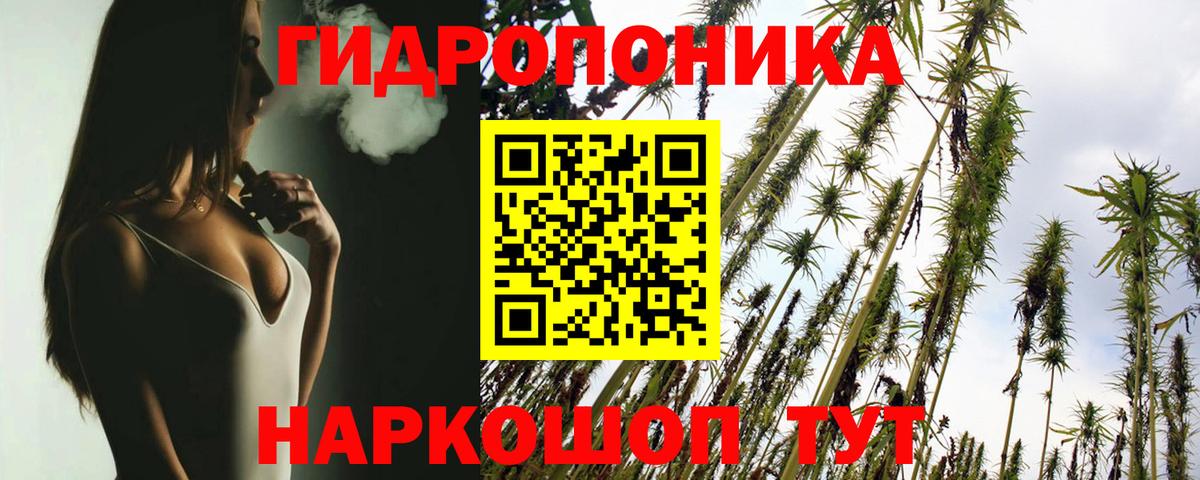 Бошки Шишки гибрид  Канабис сатива  Кудымкар  Вход с VPN  МАРИХУАНА SATIVA & INDICA 
